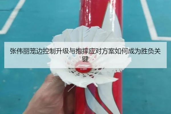 张伟丽笼边控制升级与抱摔应对方案如何成为胜负关键
